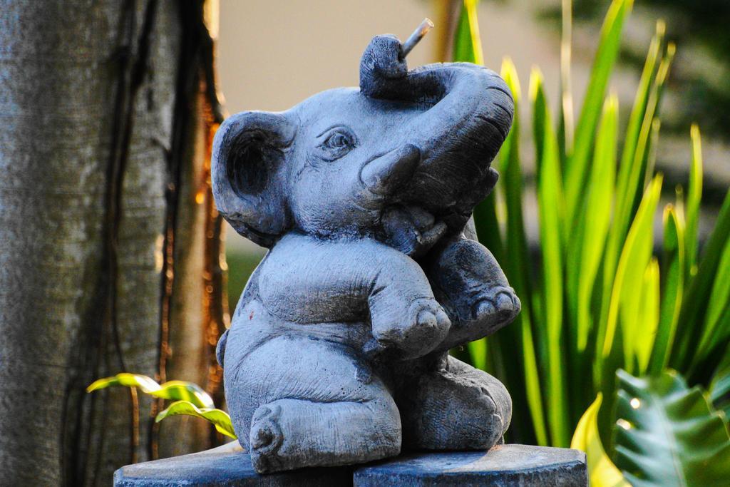 Thai Dee Garden Resort Haad Rin Ngoại thất bức ảnh